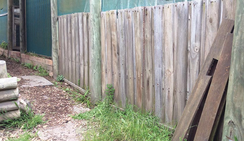how to stain an old fence