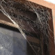 stop spiders building webs in windows doors