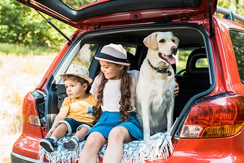 auto-upholstery-kit-for-family-cars