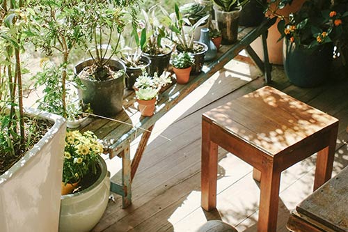 tiny home garden design for wildlife